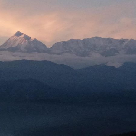 קאוסאני Golden Himalaya Homestay מראה חיצוני תמונה