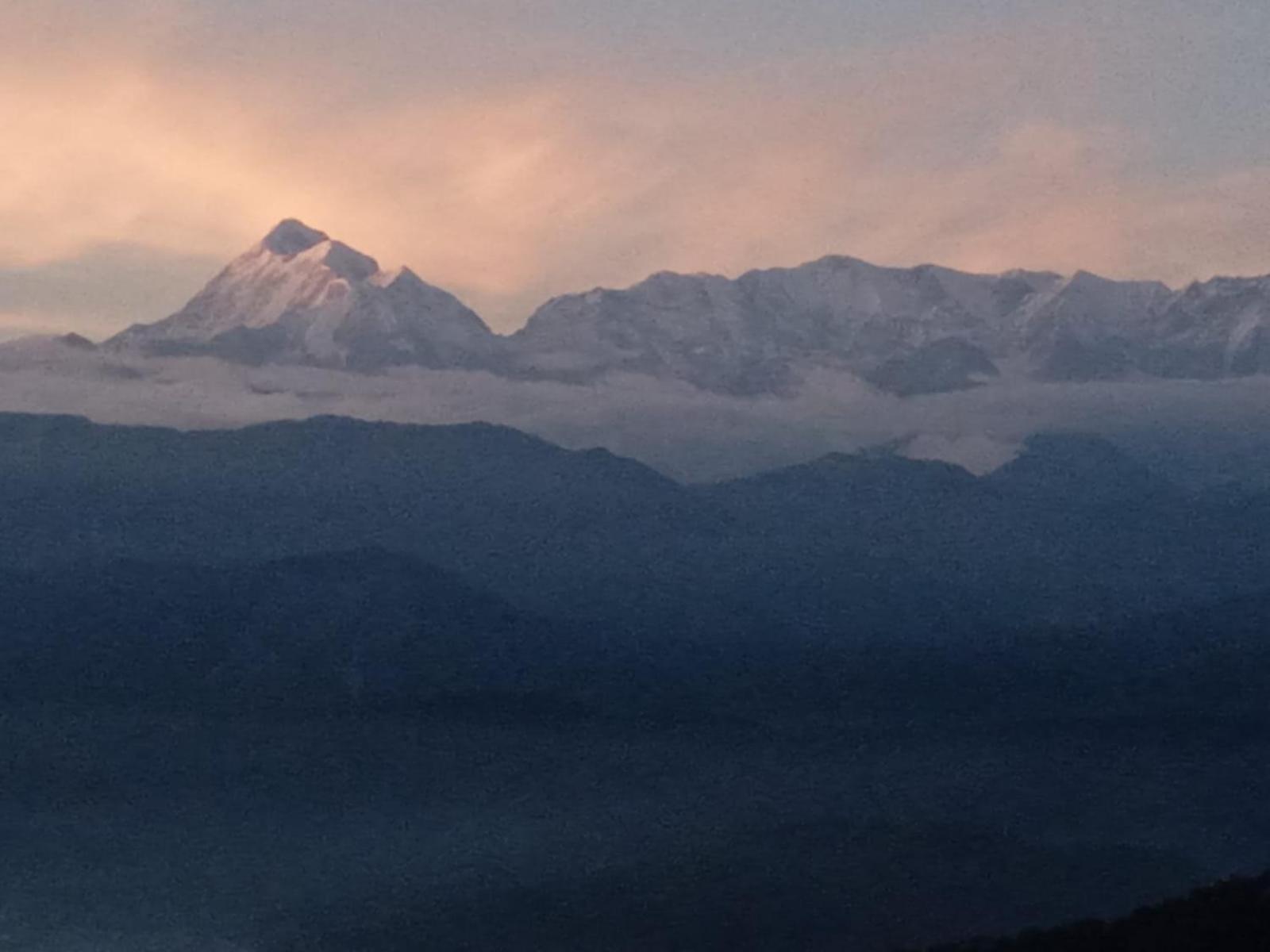 קאוסאני Golden Himalaya Homestay מראה חיצוני תמונה